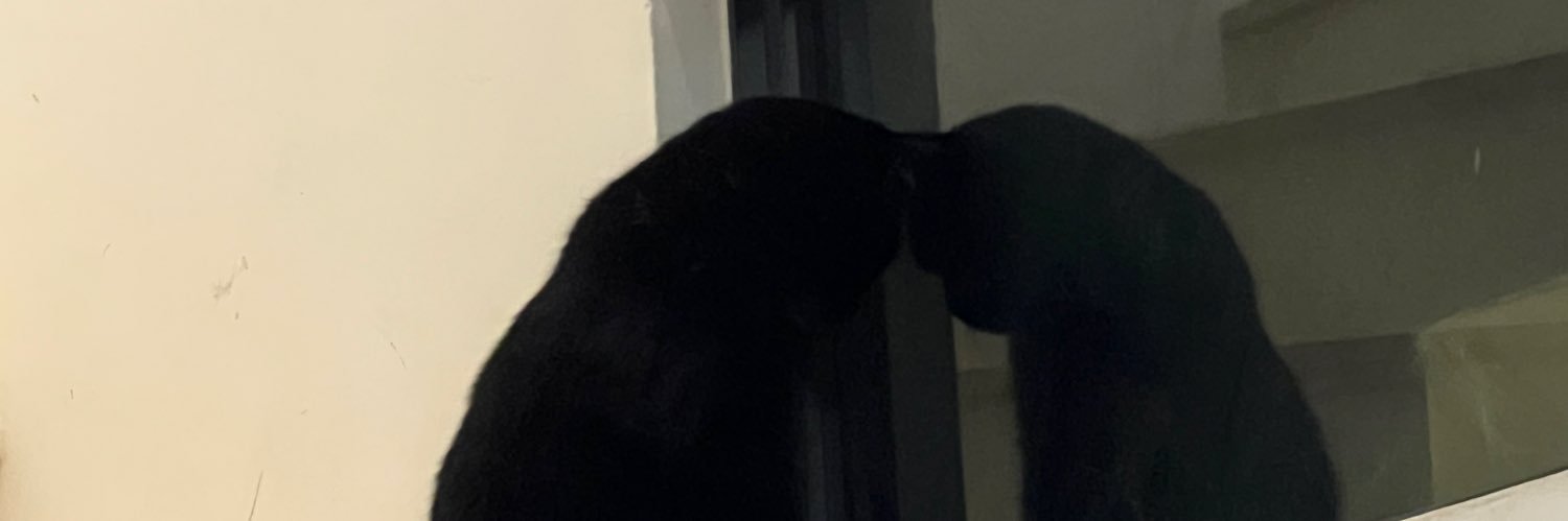 도디오마트 banner