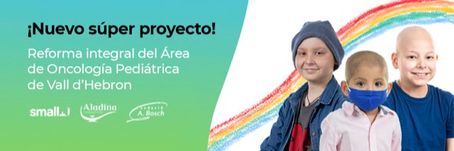 Fundació Small banner