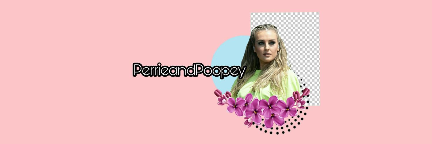 PerrieAndPoopey's profile banner image