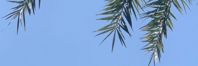 Woman0_'s profile banner image