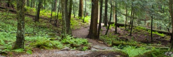 Ksapper Profile Banner