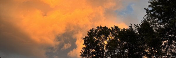 jillgilardi Profile Banner