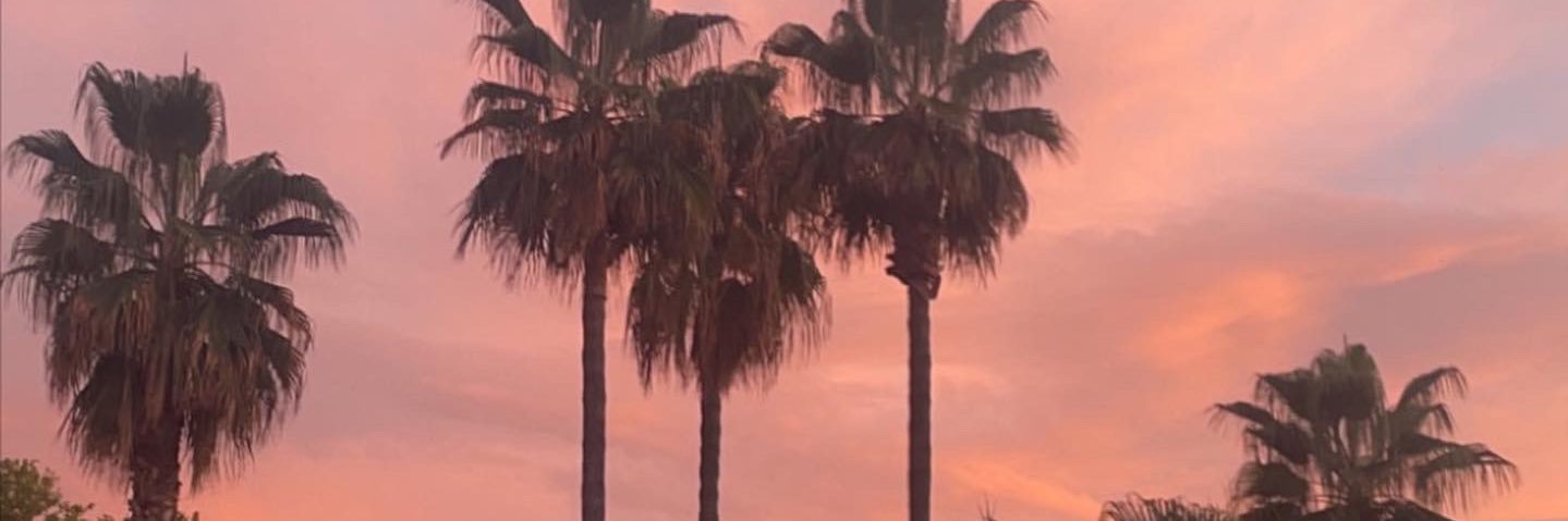 nikolefoley7's profile banner image