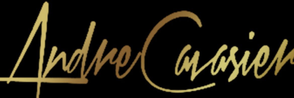AndreCavasier's profile banner image