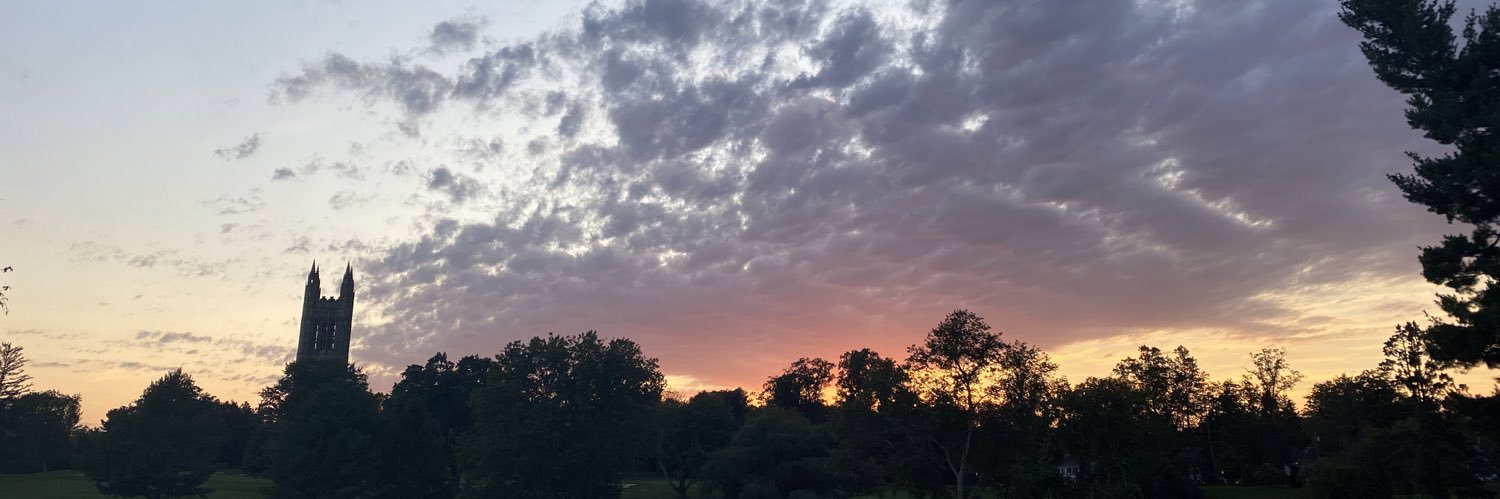 izzyjacobson_'s profile banner image
