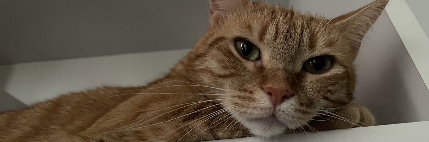 Mrs_Beyzz's profile banner image