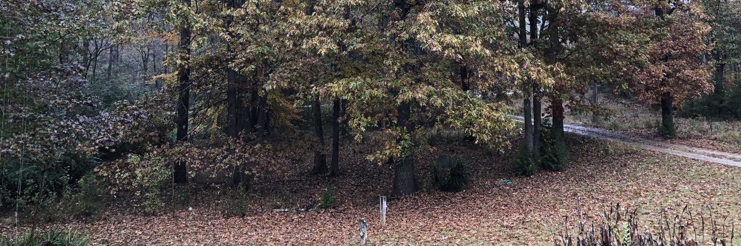 drubdrew's profile banner image