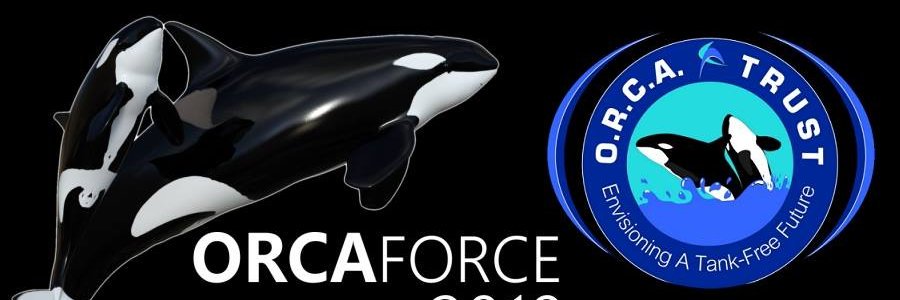 ORCAfest2016's profile banner image