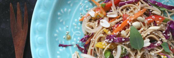 AmritaOfLife Profile Banner