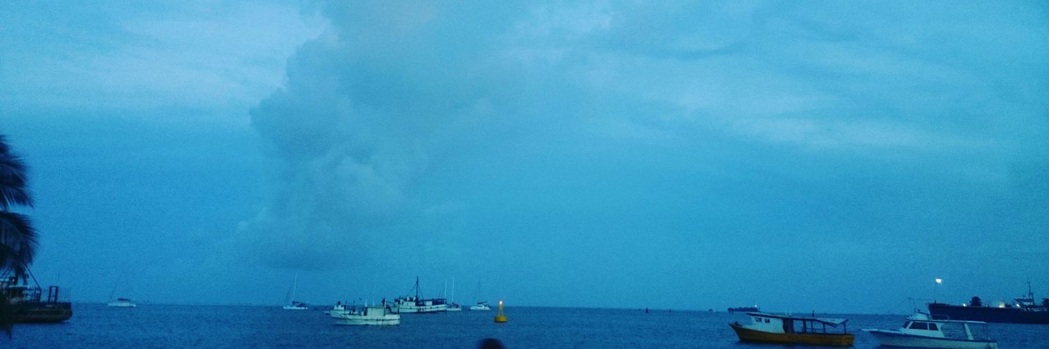 SamTrianaTovar's profile banner image