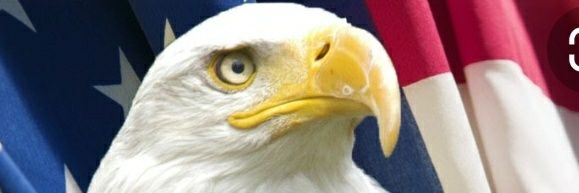 EtchJenny's profile banner image