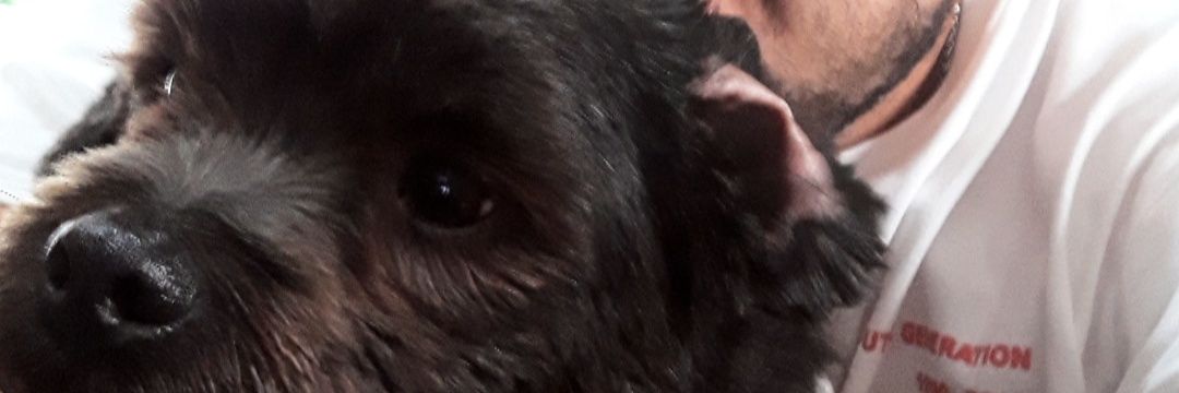 JohnnyCorvalan's profile banner image