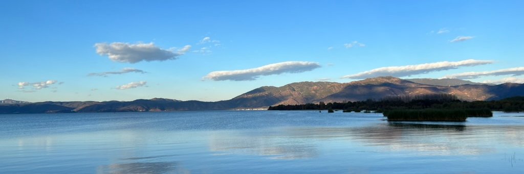 Tiu Color  banner