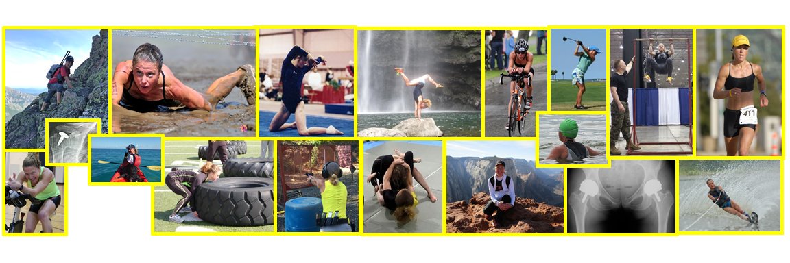 Nicole Mullins, PhD, EP, CSCS 🐧⚡️🐾 banner