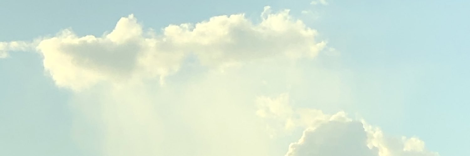 roshi_one's profile banner image