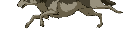 Okami114's profile banner image