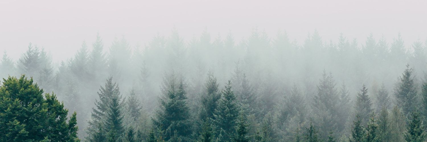 Allisssu's profile banner image