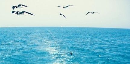 yulia_6's profile banner image