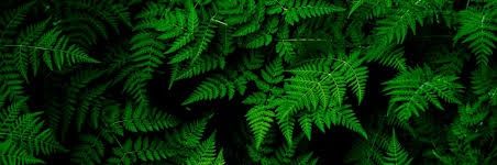 MIRZA_AMAR's profile banner image