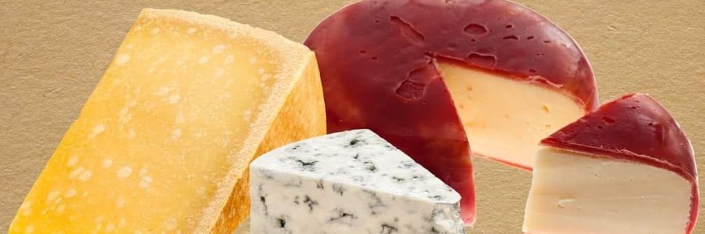 Dairy Capital Cheese banner