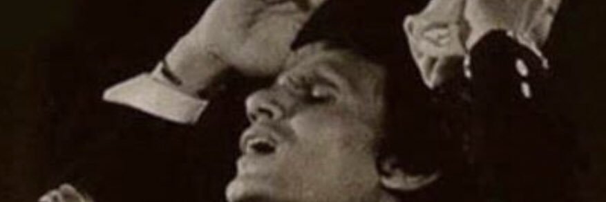 gamalshawky2's profile banner image
