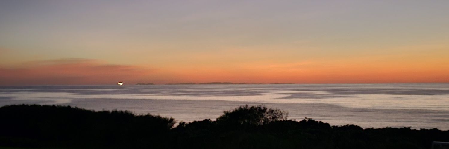 saippoi's profile banner image