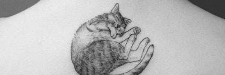 burcusarkya's profile banner image
