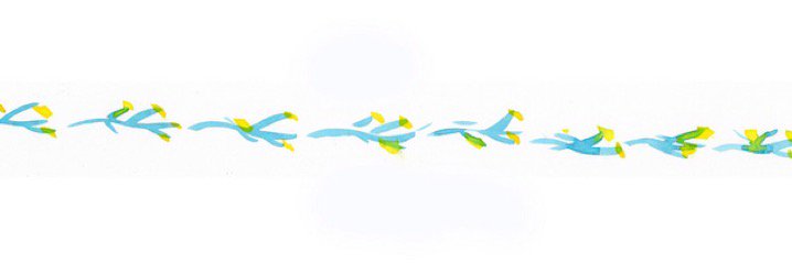 ris_sumi's profile banner image