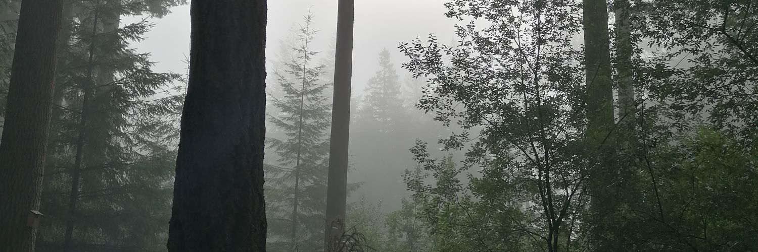 tracyattridge's profile banner image