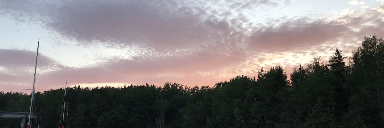taylor_macvicar's profile banner image