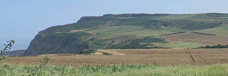 Louis Garbutt banner