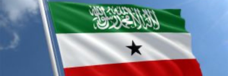 saraaf133's profile banner image
