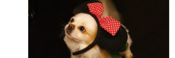 pattyromero11 Profile Banner