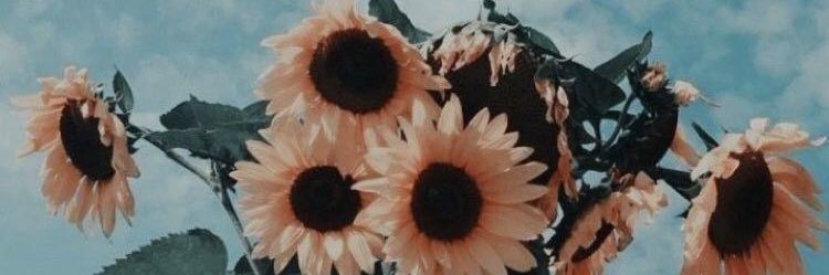 kkatiebbaker's profile banner image
