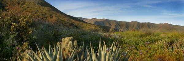 podcacher Profile Banner