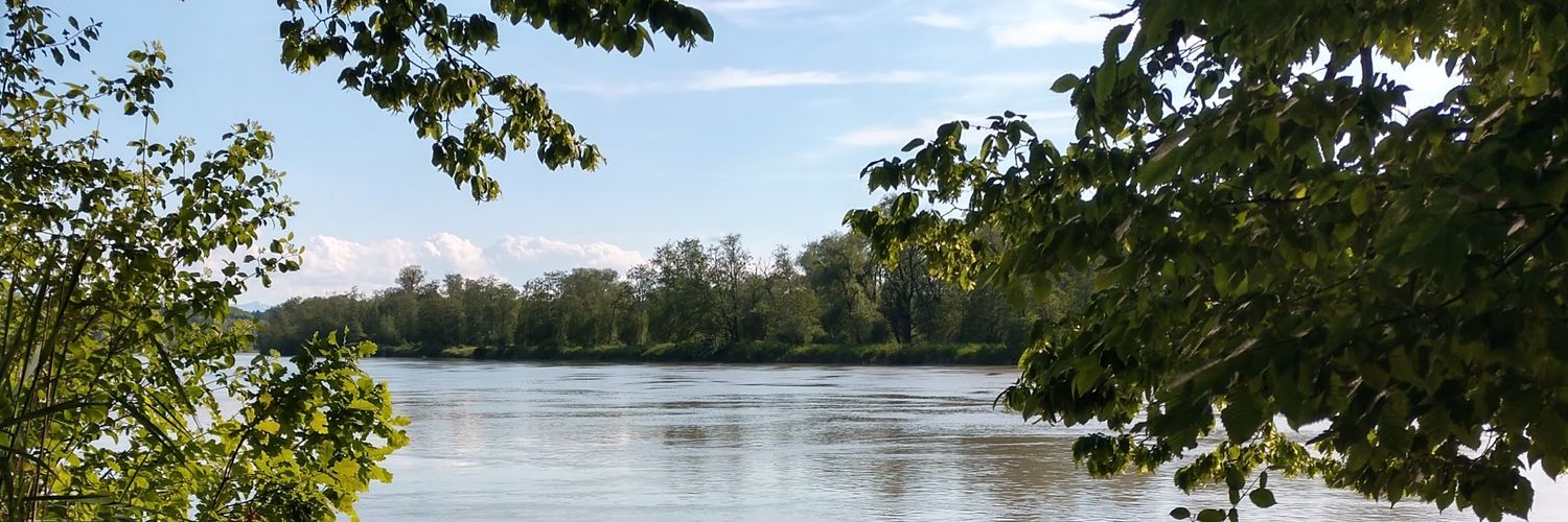 Hansleiti's profile banner image