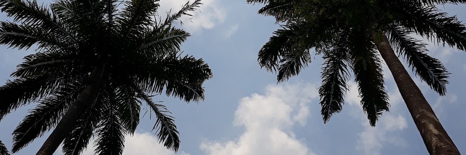 WilldBr's profile banner image