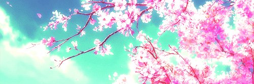 blossxmgames's profile banner image