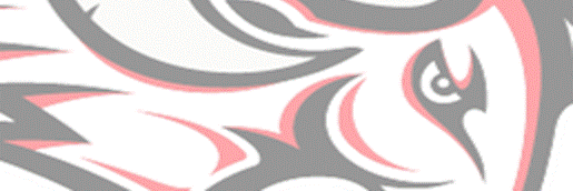 LakeMaryHighSchool banner