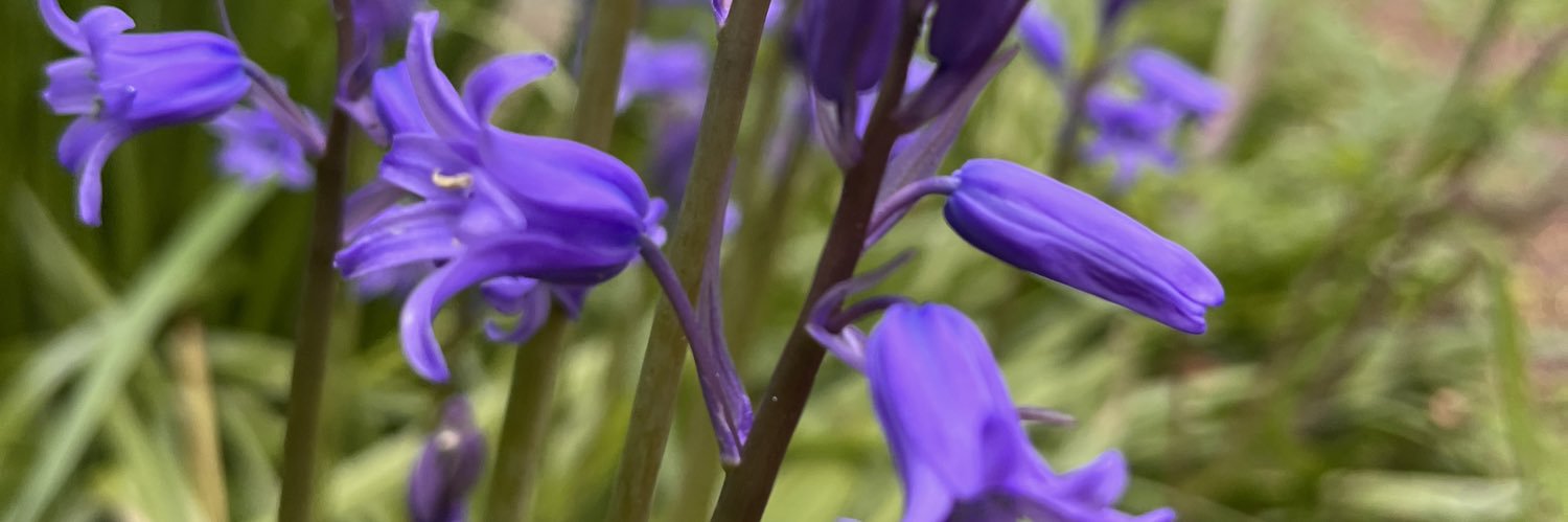 Sam Smette 💙 banner