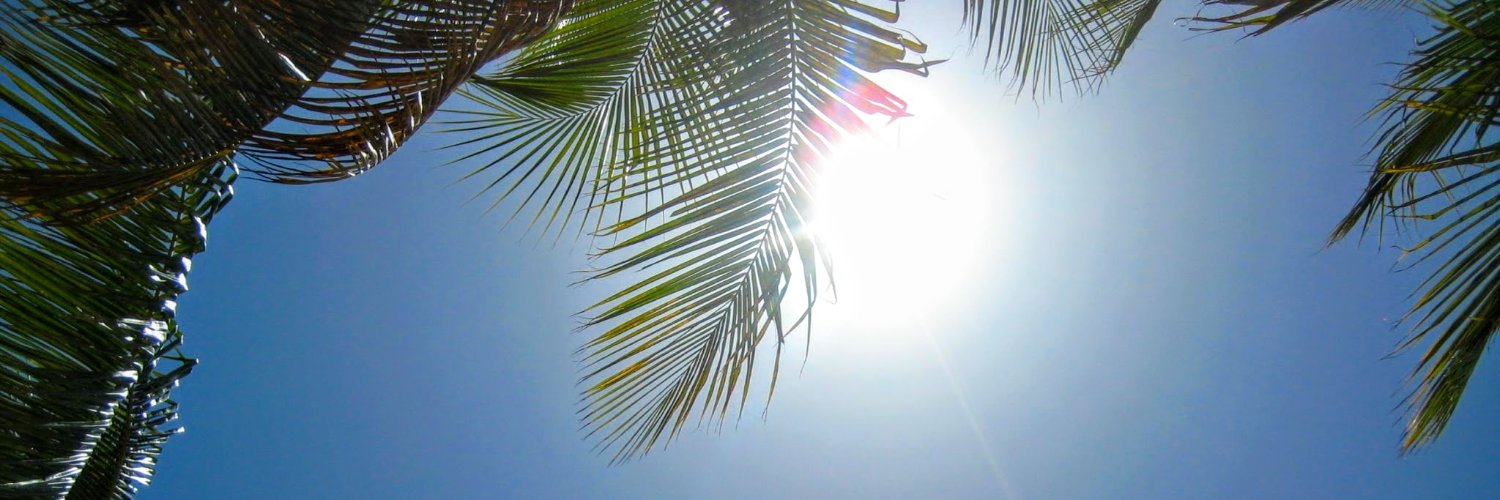 ElizJVincent's profile banner image