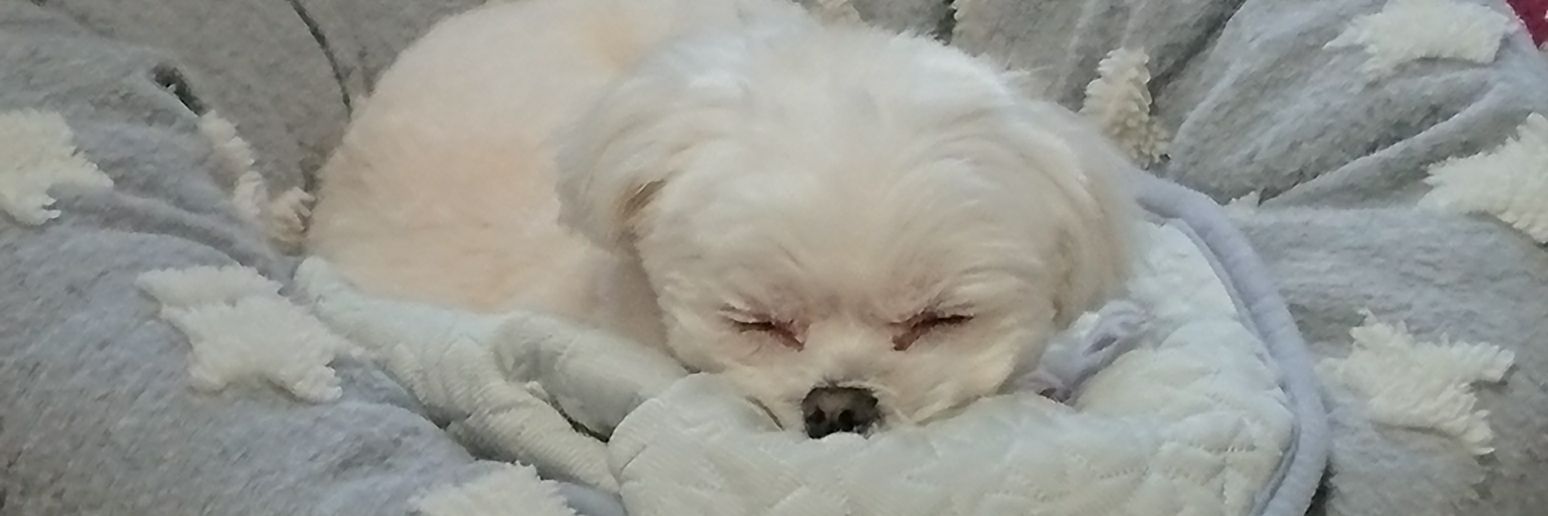 8510J's profile banner image