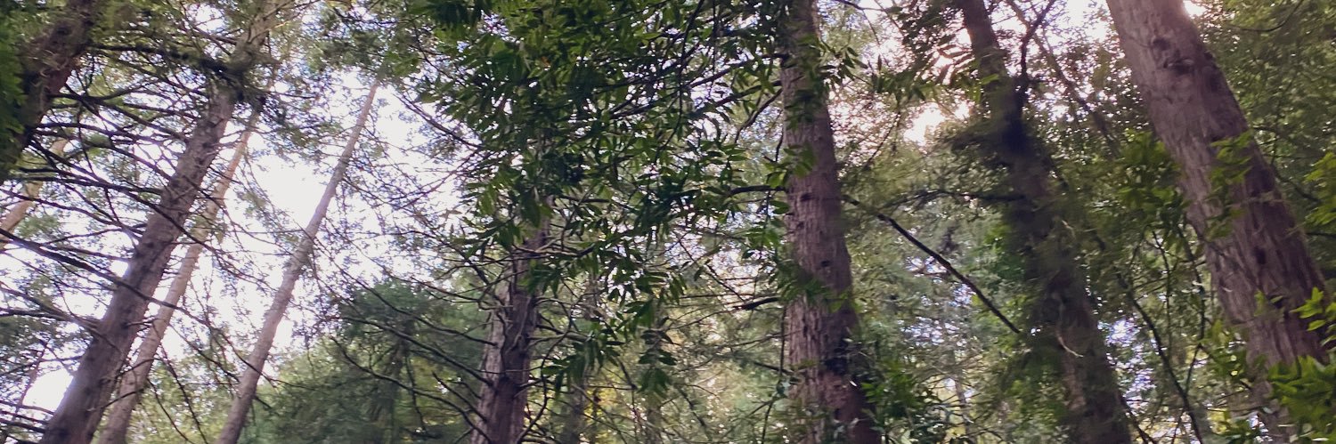 itsPariss's profile banner image