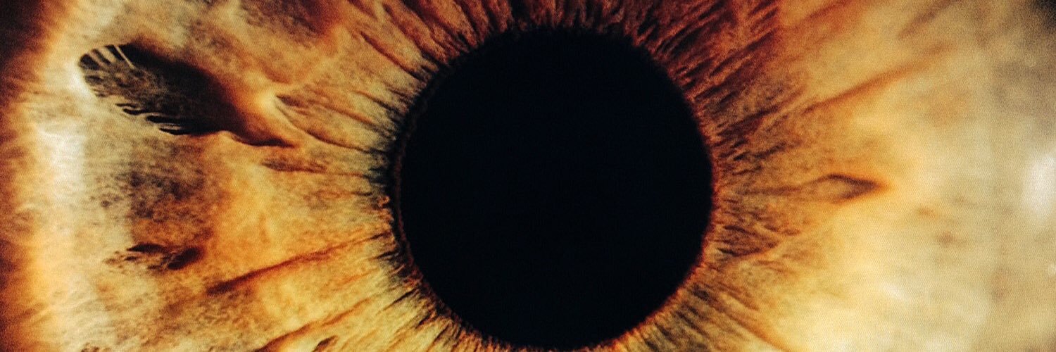 Harriet Armstrong banner