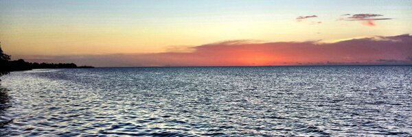 AnaelcohenC Profile Banner