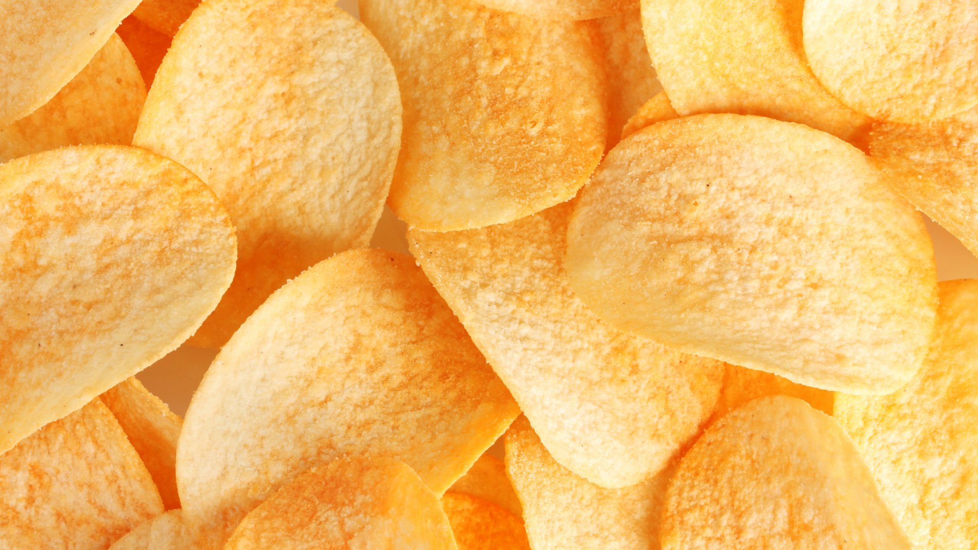 PerrottaRossie's profile banner image