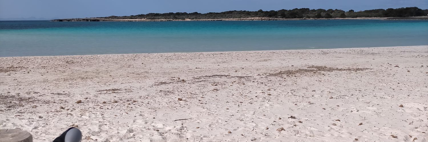 stcliment's profile banner image