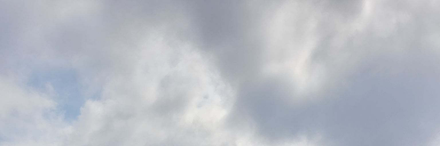 ovidelu2006's profile banner image