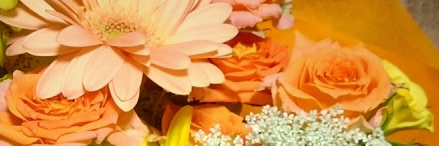 h_no26's profile banner image