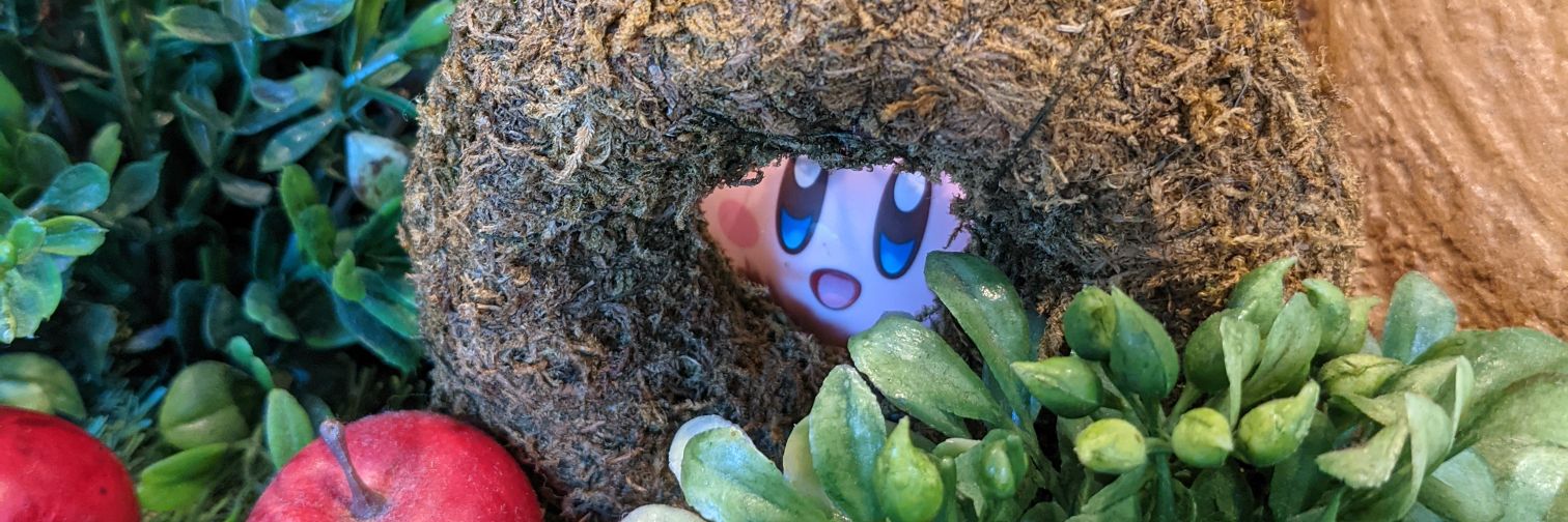 zzCOCOchanzz's profile banner image
